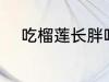 吃榴莲长胖吗 吃榴莲会不会长胖