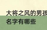 大将之风的男孩名字 大将之风的男孩名字有哪些