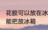 花胶可以放在冰箱冷藏室里吗 花胶不能把放冰箱