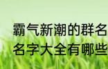 霸气新潮的群名字大全 霸气新潮的群名字大全有哪些