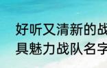 好听又清新的战队名字2022 霸气独具魅力战队名字