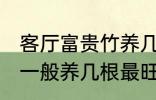 客厅富贵竹养几支最旺运 水养富贵竹一般养几根最旺财