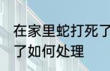 在家里蛇打死了怎么办 在家里蛇打死了如何处理