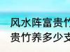 风水阵富贵竹养几支最旺运 风水阵富贵竹养多少支最旺运