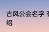 古风公会名字 有关古风的公会名字介绍