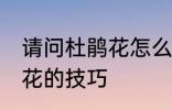 请问杜鹃花怎么养不爱死啊 养殖杜鹃花的技巧