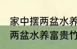 家中摆两盆水养富贵竹好不好 家中摆两盆水养富贵竹可以吗