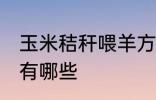 玉米秸秆喂羊方法 玉米秸秆喂羊方法有哪些