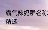 霸气辣妈群名称大全 霸气辣妈群名称精选