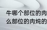 牛哪个部位的肉炖的牛肉汤好喝 牛什么部位的肉炖的牛肉汤好喝