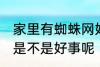 家里有蜘蛛网好事坏事 家里有蜘蛛网是不是好事呢