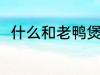 什么和老鸭煲汤最好 老鸭煲汤做法