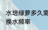 水培绿萝多久需要换一次水 水培绿萝换水频率