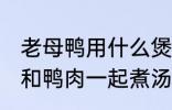 老母鸭用什么煲汤最好 哪些食物可以和鸭肉一起煮汤