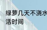 绿萝几天不浇水会死 不浇水的绿萝成活时间