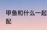 甲鱼和什么一起煲汤好喝 甲鱼煲汤搭配